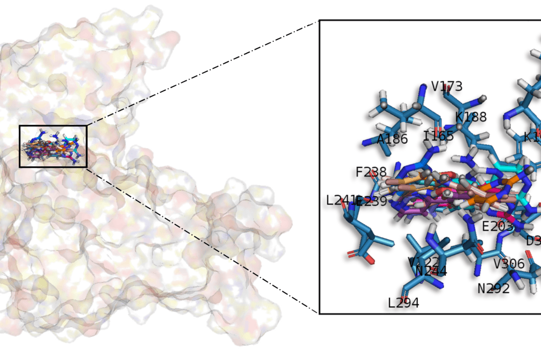 Portfolio Archive RASA Life Sciences