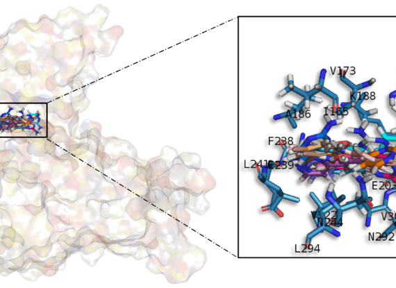 Protein-Enzyme docking, Protein-Protein docking, Protein-large molecule docking, Protein-DNA docking, Protein-RNA docking, Protein-metal ion docking, Protein-nanoparticle docking