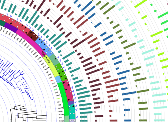 ancestral, ethnological, folk, genealogical, genetic, hereditary, lineal, national, phyletic, phylogenetic, tribal