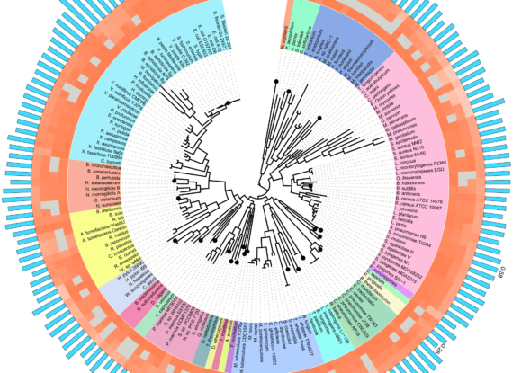 shotgun metagenomic, sequencing, Metagenomics, Metatranscriptomics, Shotgun cloning, Functional metagenomics, Metaproteomics